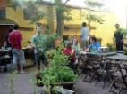 Garden with BBQ