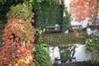 Autumn Hotel Garden