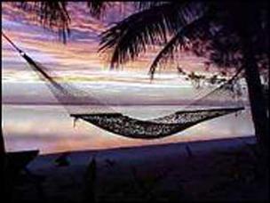 Hammock