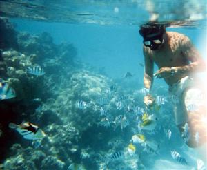Snorkelling in front of property