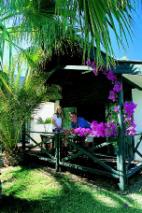Villa amongst palms and bougainvillea