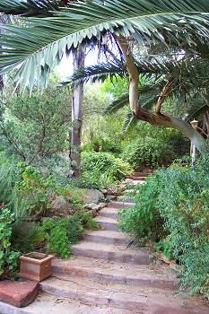 Garden Steps