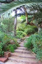Garden Steps
