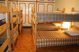 Rain Forest Dorm