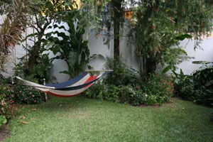 Hammock and Garden