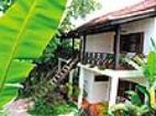 La Noria boasts 7 elevated wooden bungalows