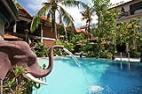 Our signature Ganesha swimming pool is perfect on a hot day