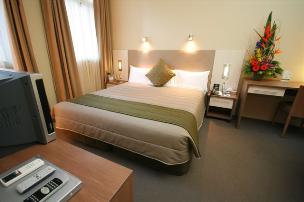 Deluxe Studio Apartment