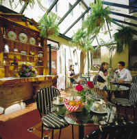 The courtyard conservatory