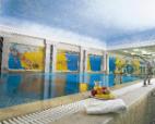 INDOOR SWIMMING POOL