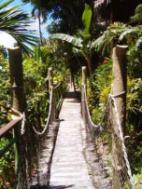 Pathways that interlink all the cottages to the front desk.