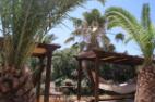 Hammocks in exterior of the new studios