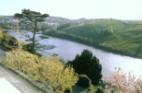 Spectacular River Views