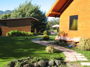 our garden
