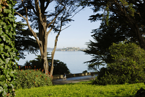 View of Alcatraz from hostel