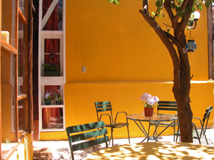 Sunny Backyard