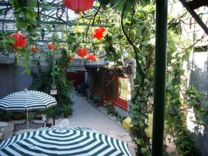 Moring,Courtyard