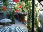 Moring,Courtyard