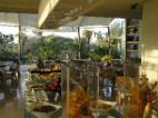 Lido - Restaurant