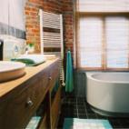 blue room bathroom