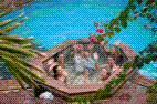 Soak in the Hot Tub