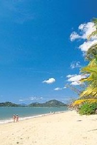 Palm Cove Beach