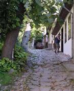 Pashov Hostel