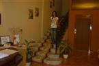 Hotel Nais