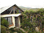 Tina's Casitas