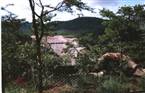 Bushbaby Lodge