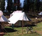The Pushkar Camp Retreat