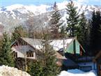Golden Dreams B&B