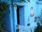 Chacha's Garden