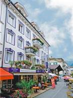Hotel Blume