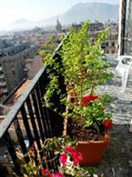 Hotel Liberta'