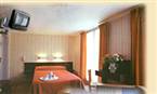 Hotel Camelia International