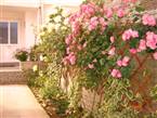 Knezevic Apartment