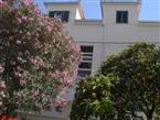 Apartment Spaleto