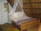 Alumbung Bohol, Tropical Living