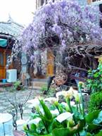 We Are Family Guesthouse