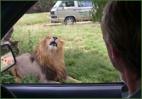 Gauteng Day Trippers