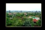 Mogli Resorts