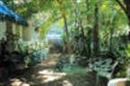 Casa Del Caribe
