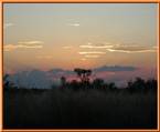 Mokolodi Backpackers