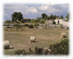 Rustico Firdaus