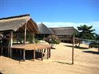 Gecko Lounge