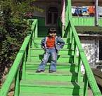 Green Stairs