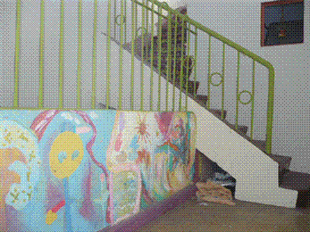 Image 7