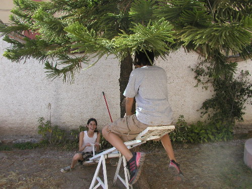 Image 5