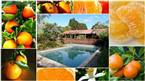 Kerikeri Farm Hostel